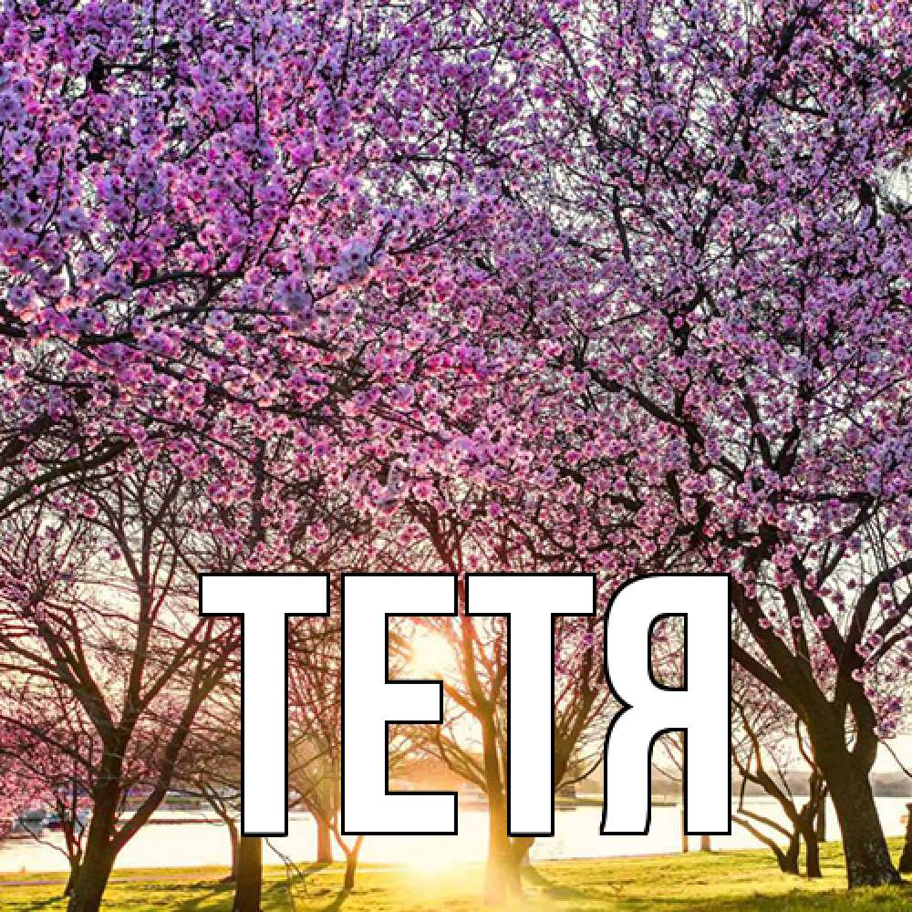 Открытка  с именем. Тетя, Главная  