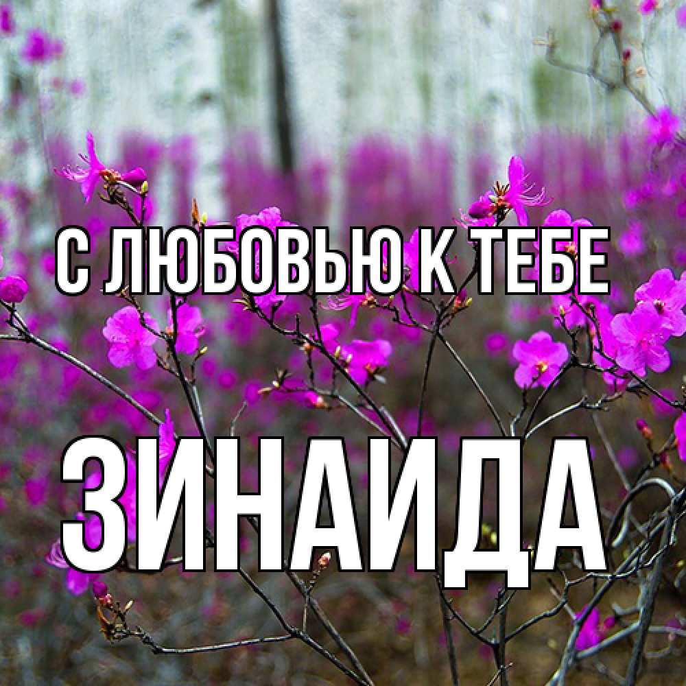 Открытка  с именем. Зинаида, С любовью к тебе  