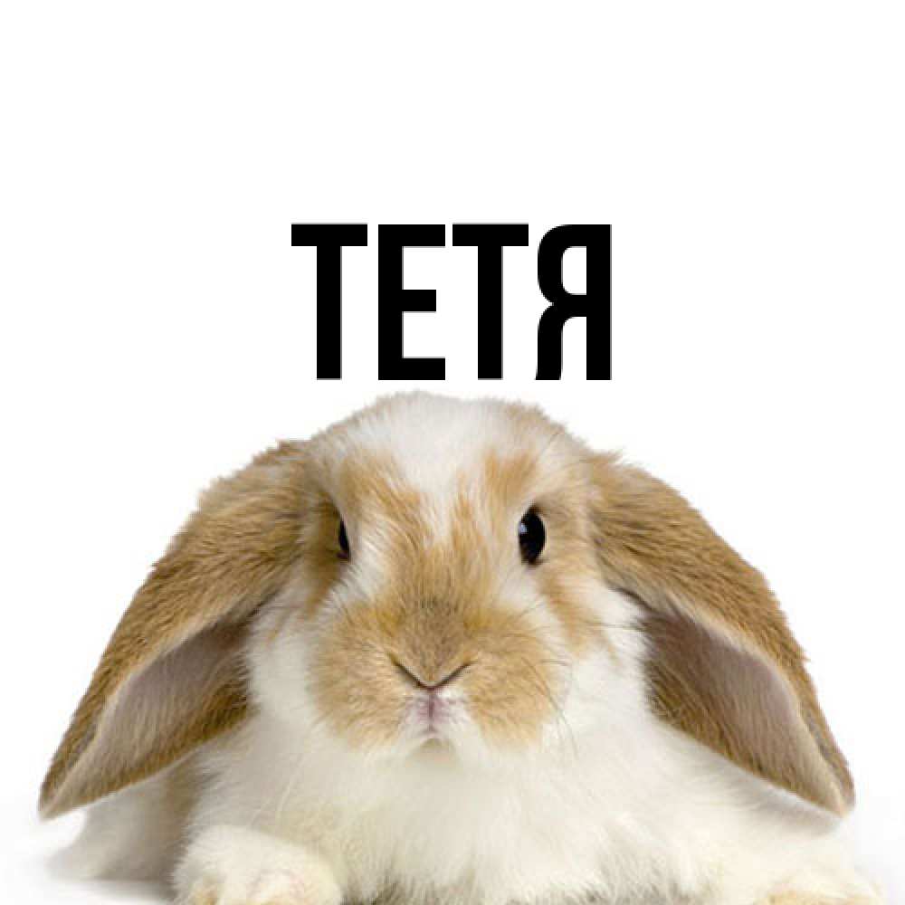 Открытка  с именем. Тетя, Главная  