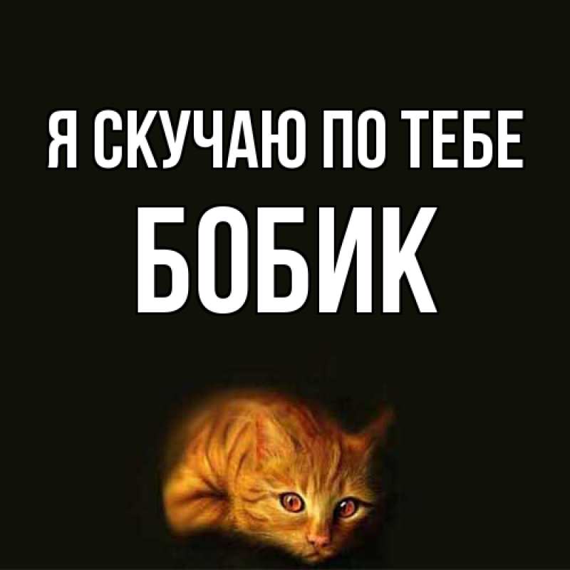 Картинка Я скучаю по тебе, Бобик