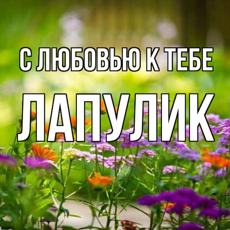 Картинка С любовью к тебе, Лапулик