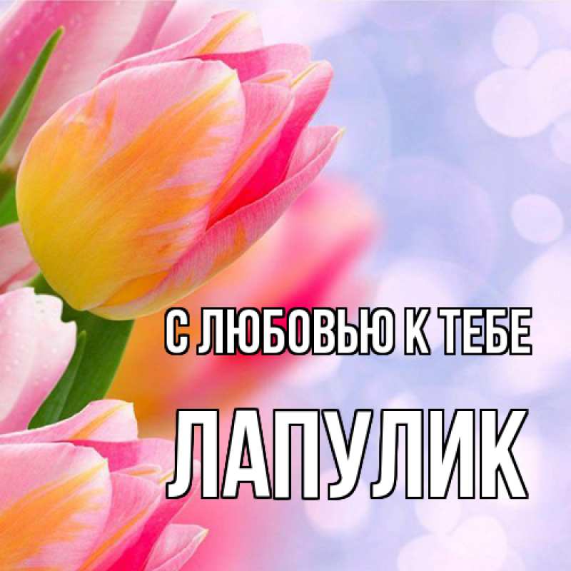 Картинка С любовью к тебе, Лапулик