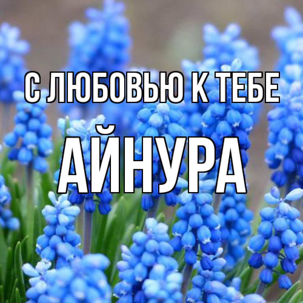 Открытка  с именем. Айнура, С любовью к тебе  