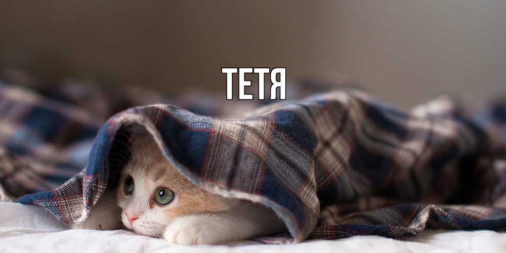 Открытка  с именем. Тетя, Главная  