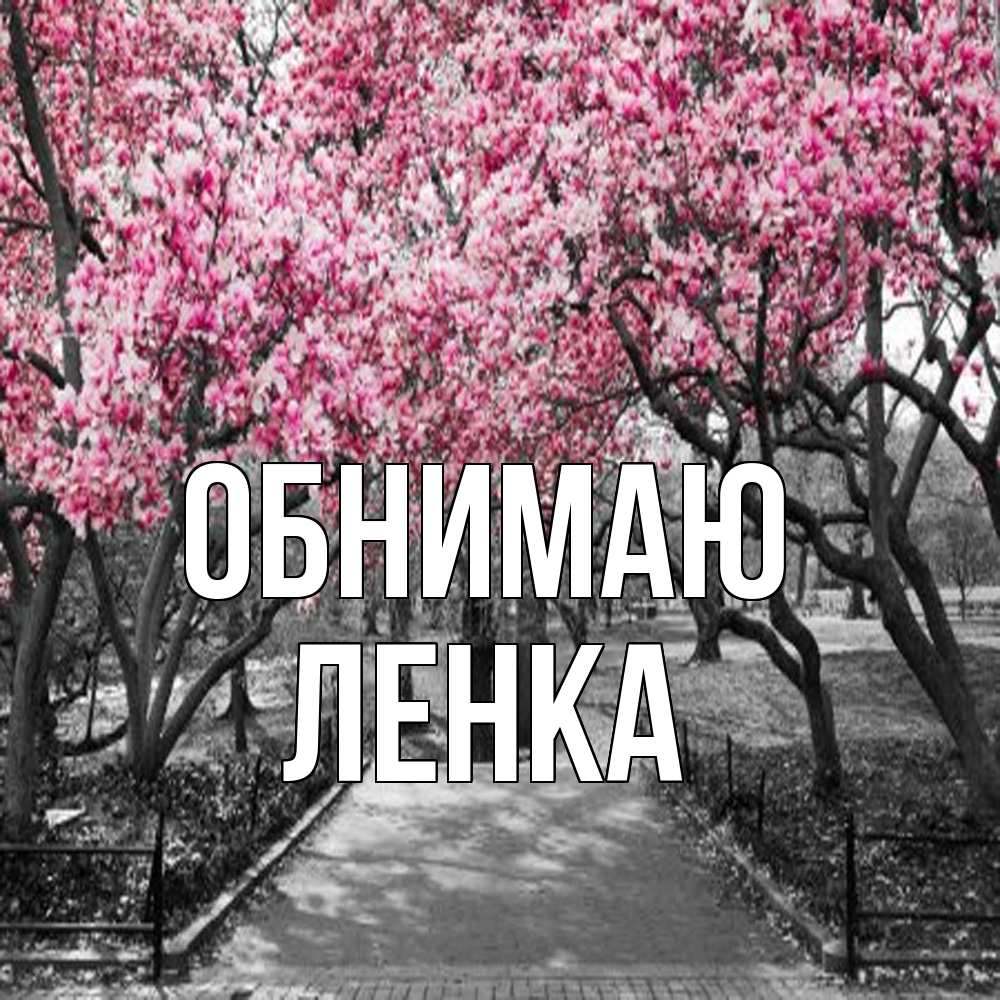 Открытка  с именем. Ленка, Обнимаю  