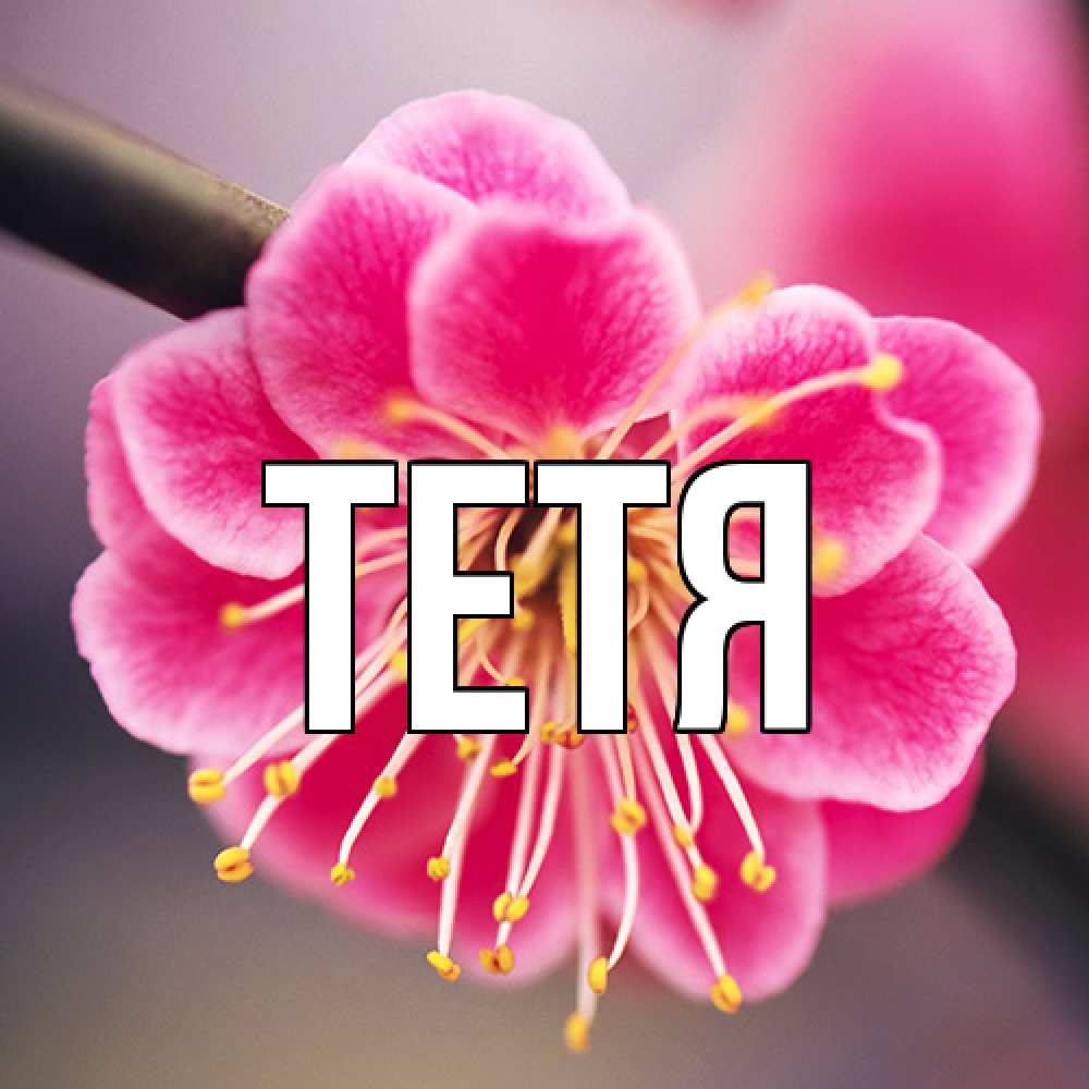Открытка  с именем. Тетя, Главная  