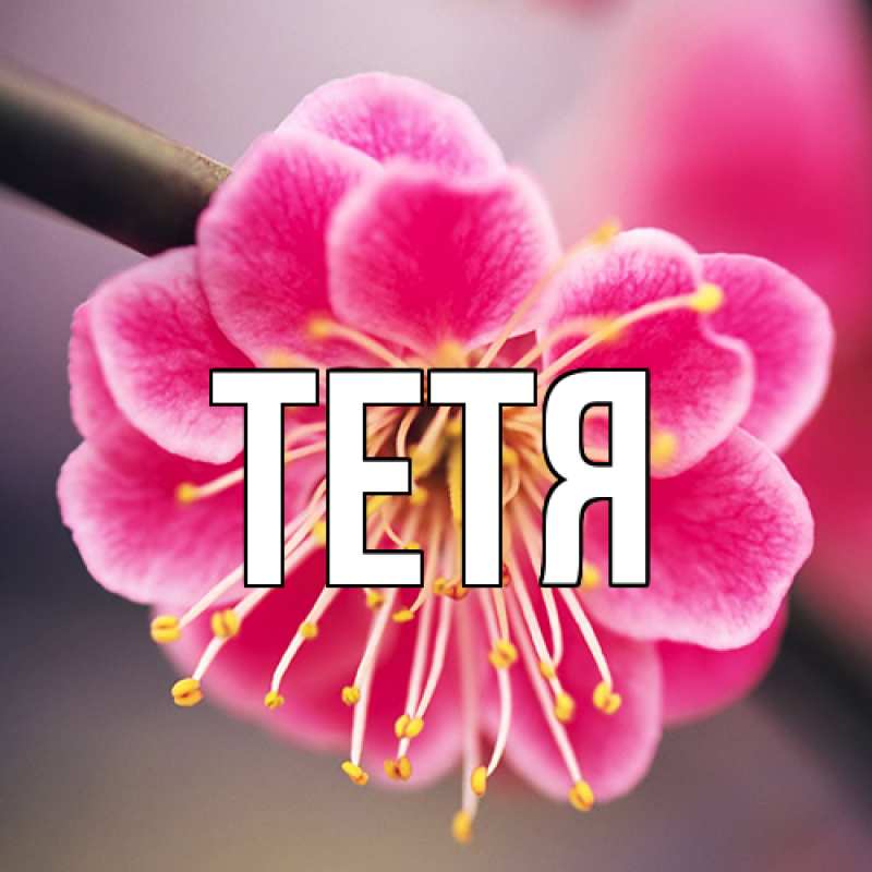 Картинка  с именем , Тетя