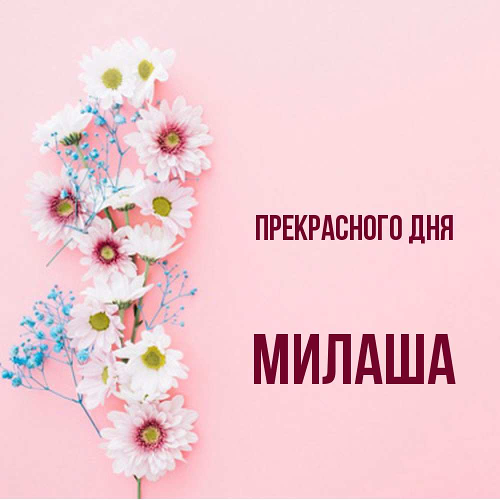 Открытка  с именем. Милаша, Прекрасного дня  