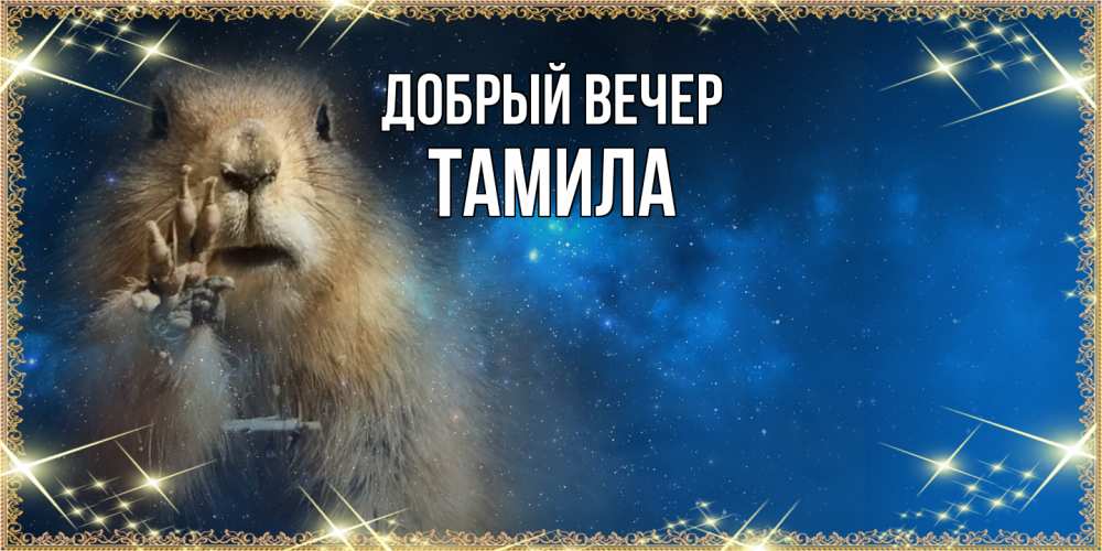 Открытка  с именем. Тамила, Добрый вечер  