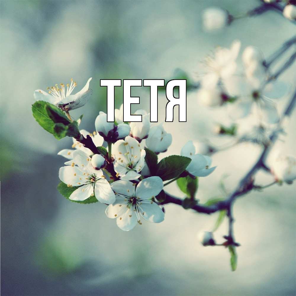 Открытка  с именем. Тетя, Главная  