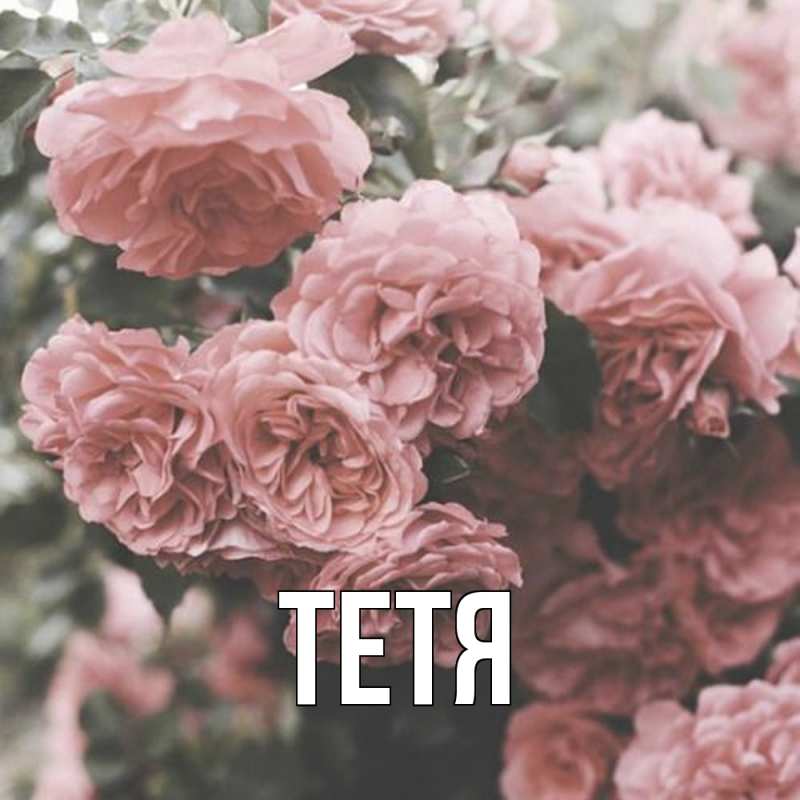 Картинка  с именем , Тетя
