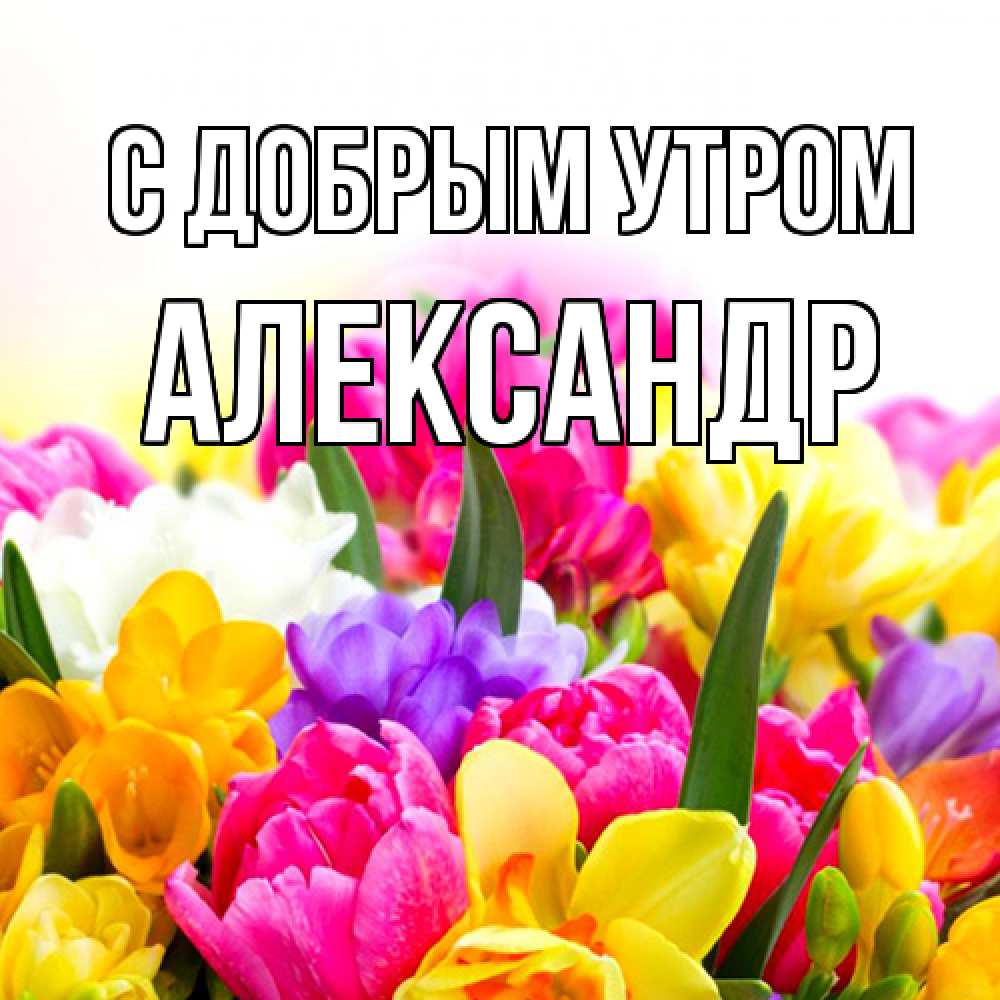 Открытка  с именем. александр, С добрым утром  