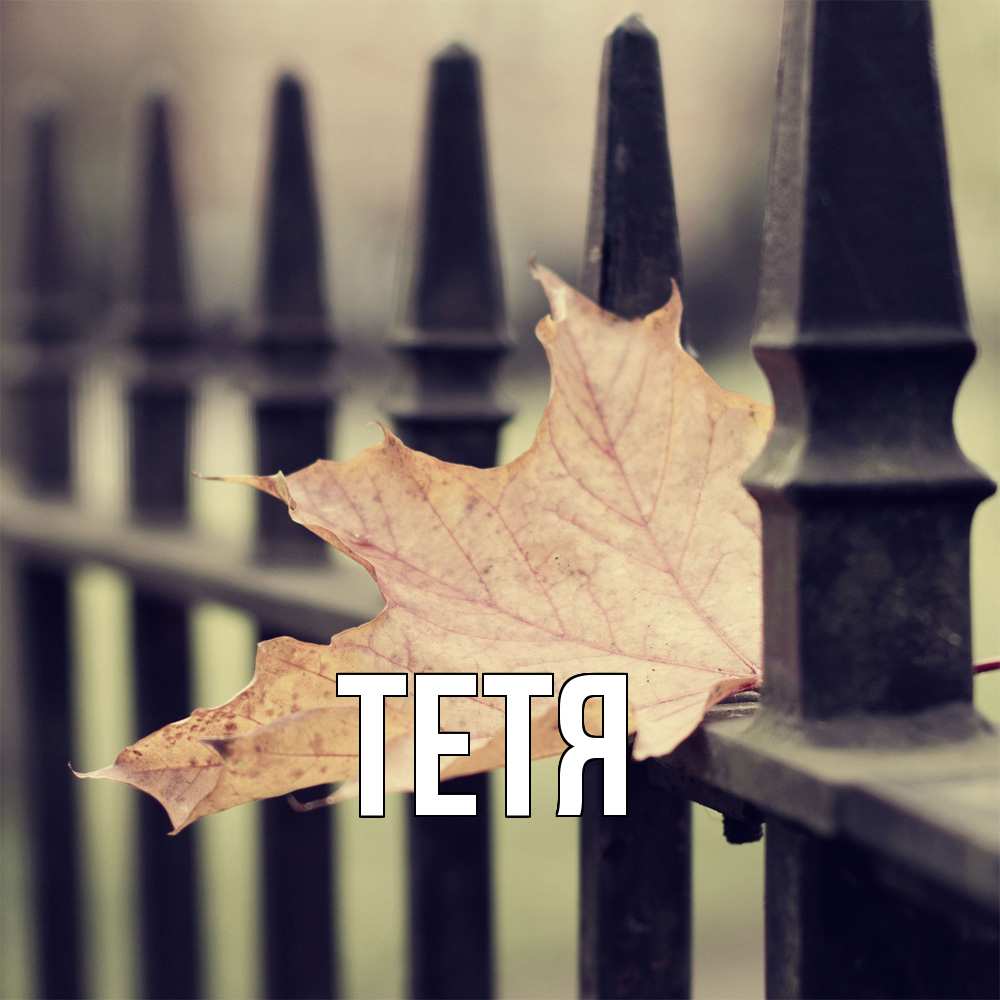 Открытка  с именем. Тетя, Главная  