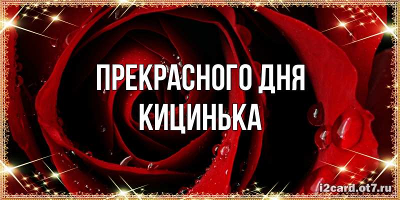 Картинка Прекрасного дня, Кицинька