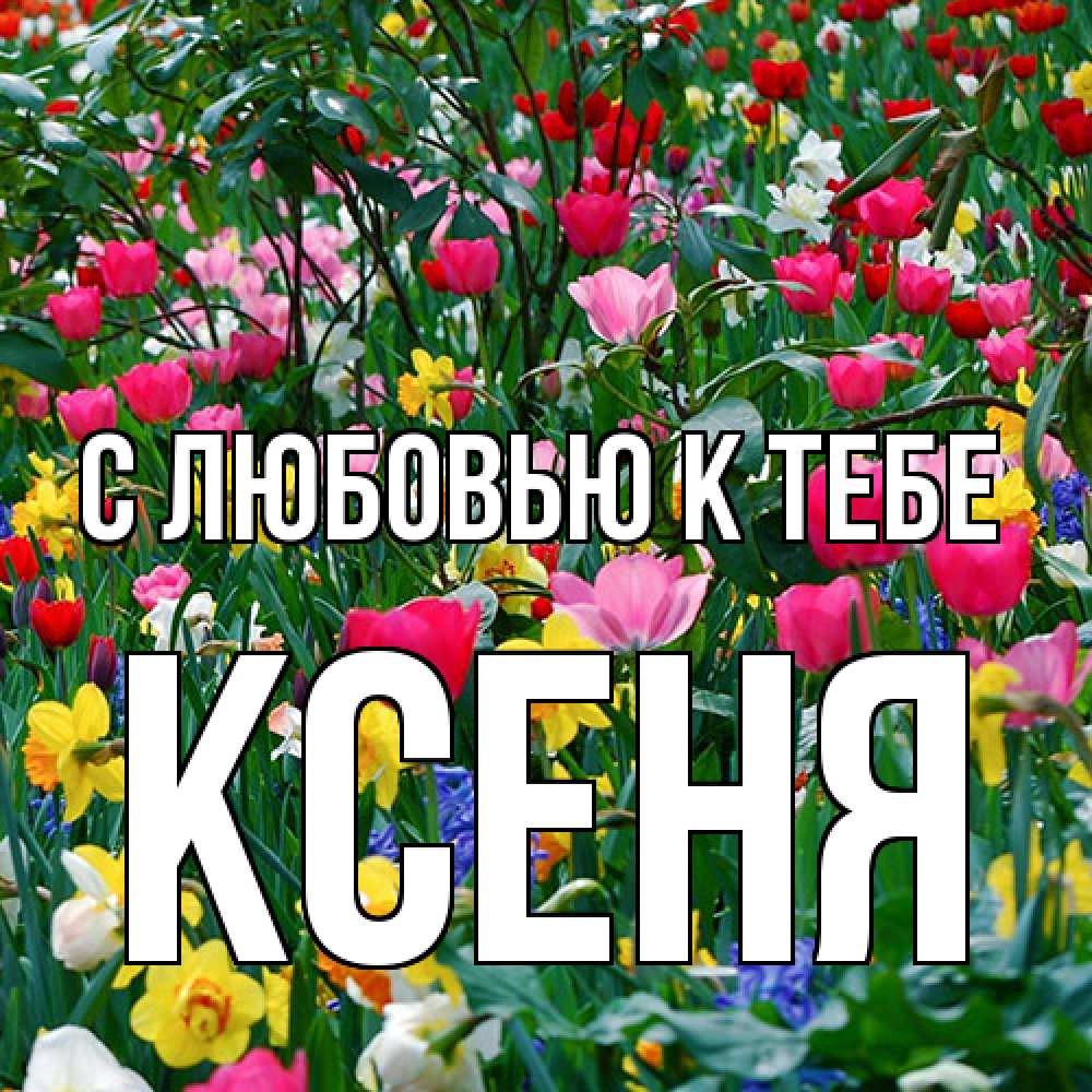 Открытка  с именем. Ксеня, С любовью к тебе  