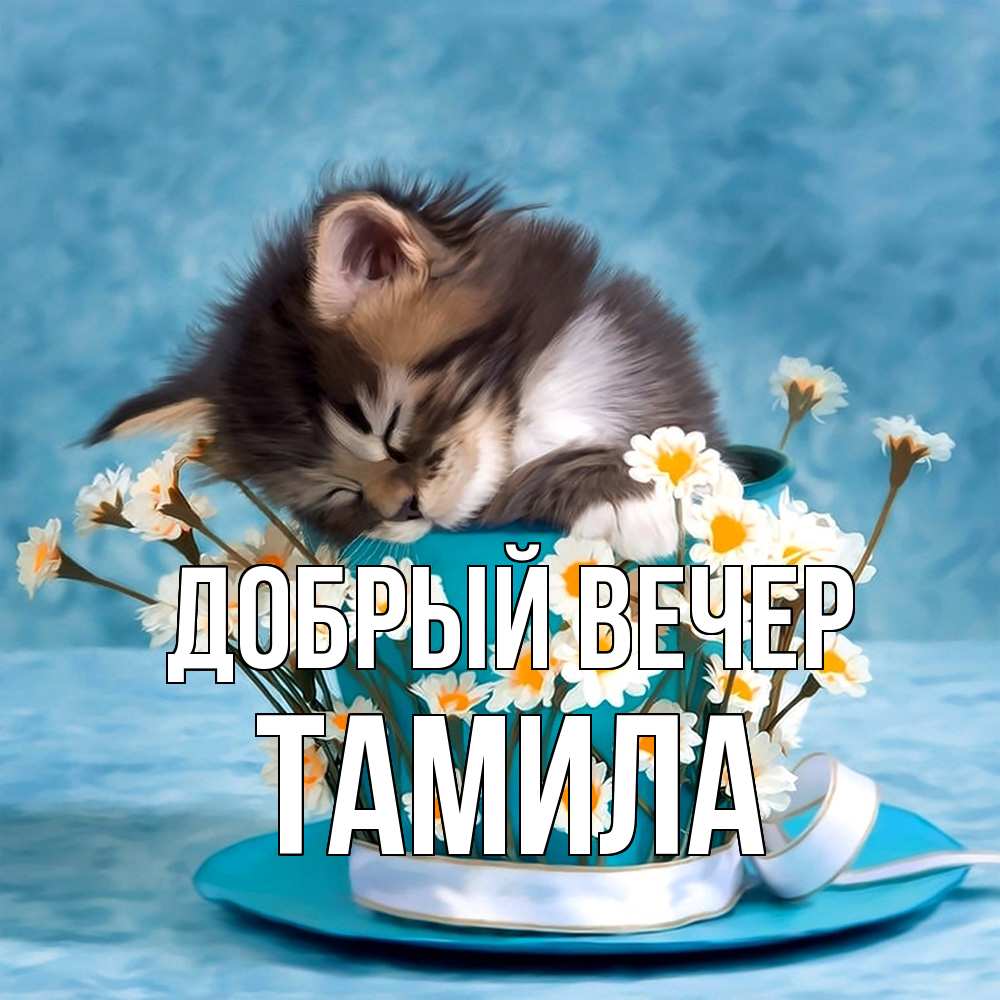 Открытка  с именем. Тамила, Добрый вечер  