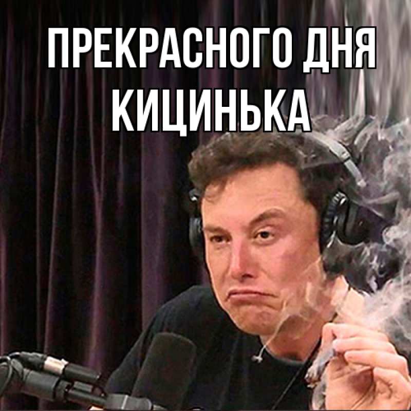 Картинка Прекрасного дня, Кицинька