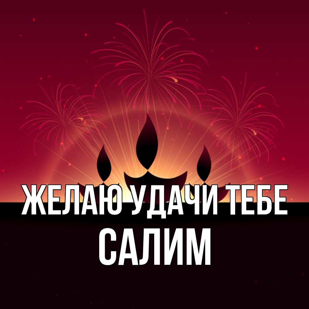 Открытка  с именем. Салим, Желаю удачи тебе  