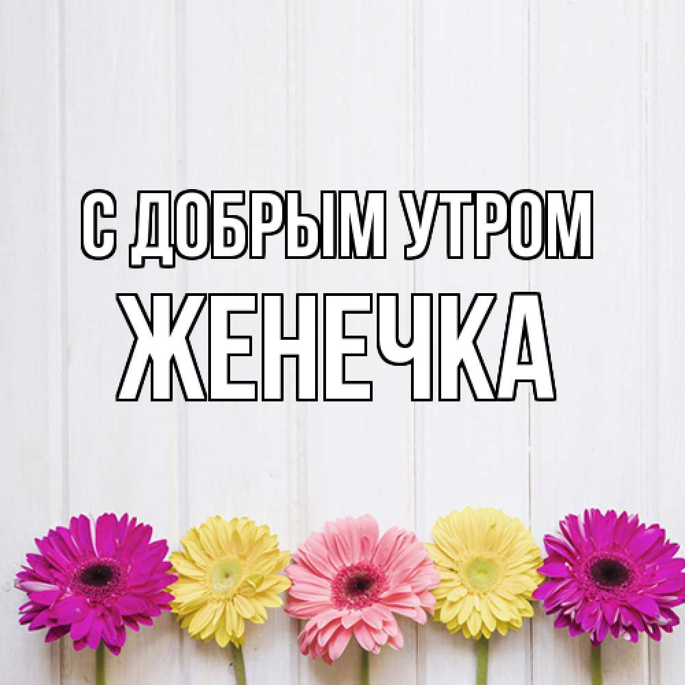 Открытка  с именем. Женечка, С добрым утром  