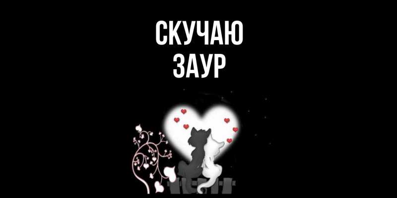 Картинка Скучаю, Заур