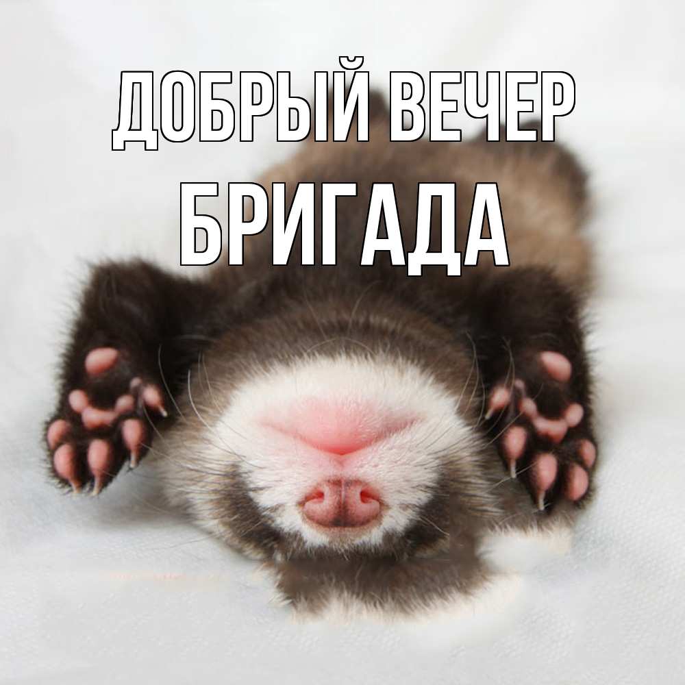 Открытка  с именем. Бригада, Добрый вечер  