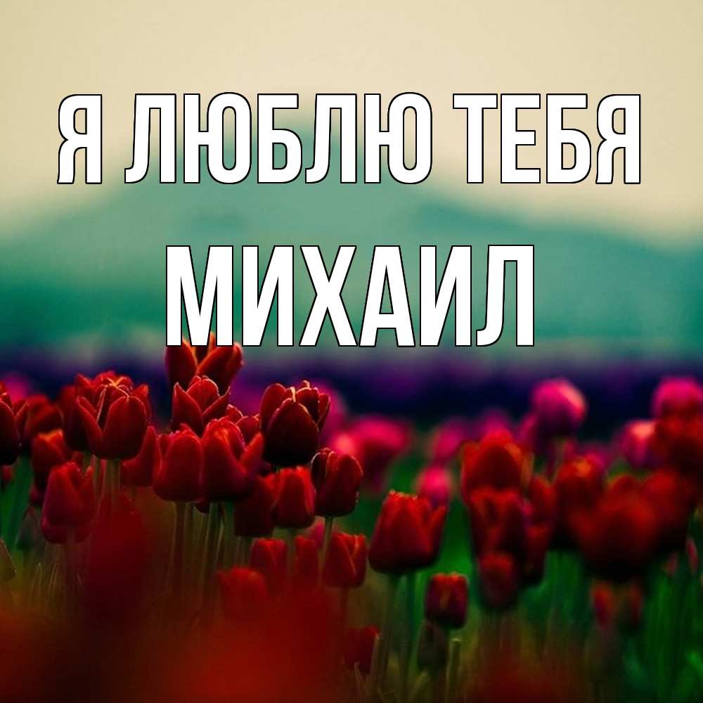 Открытка  с именем. Михаил, Я люблю тебя  