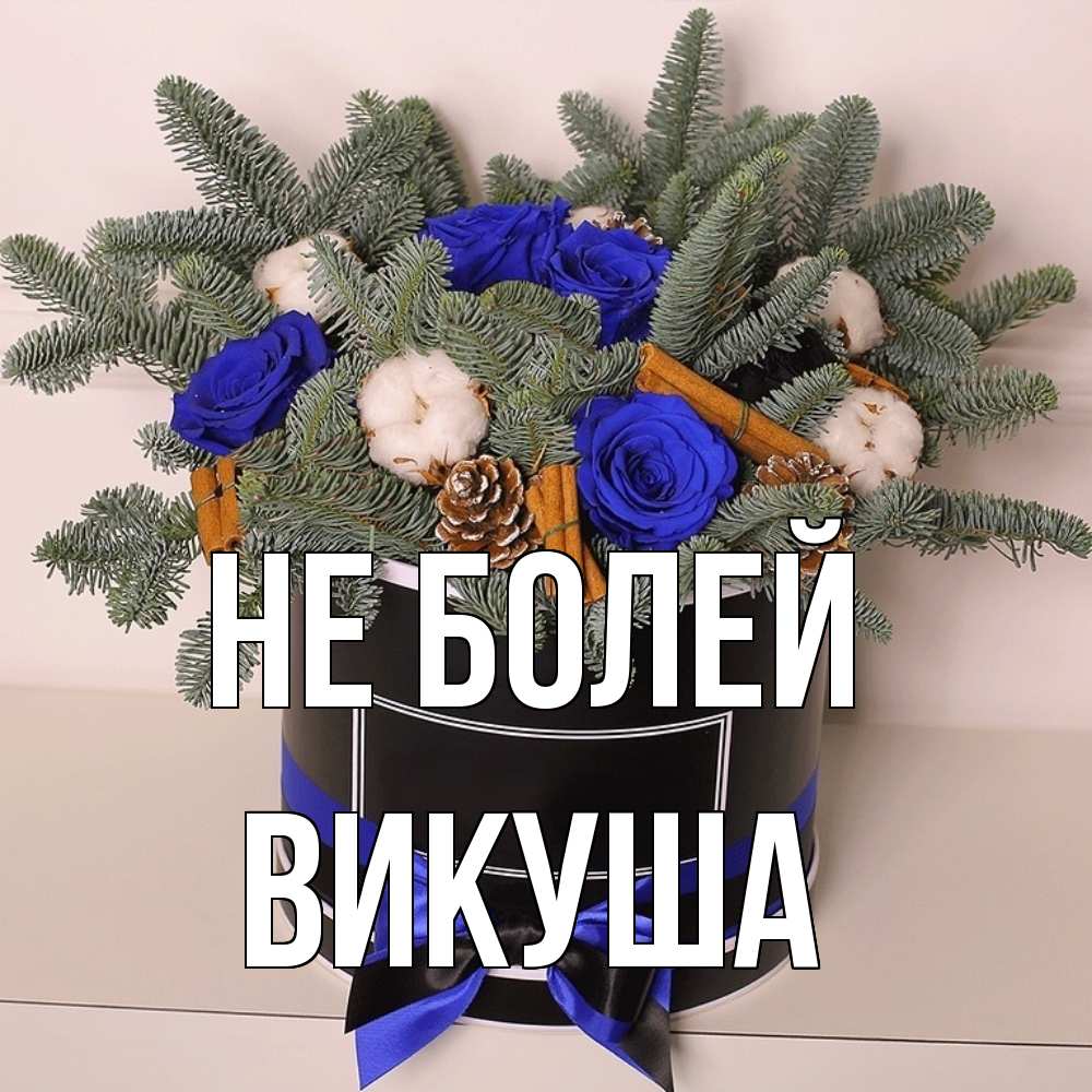 Открытка  с именем. Викуша, Не болей  