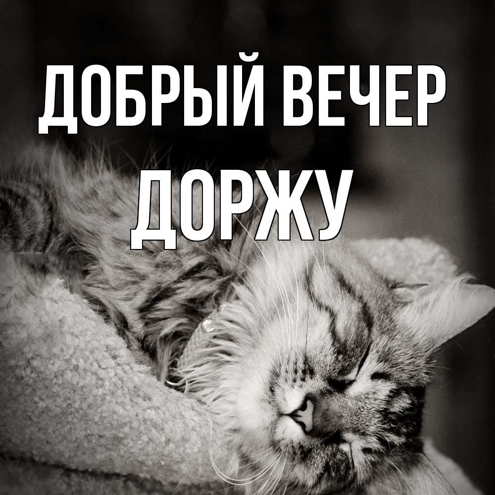 Открытка  с именем. Доржу, Добрый вечер  