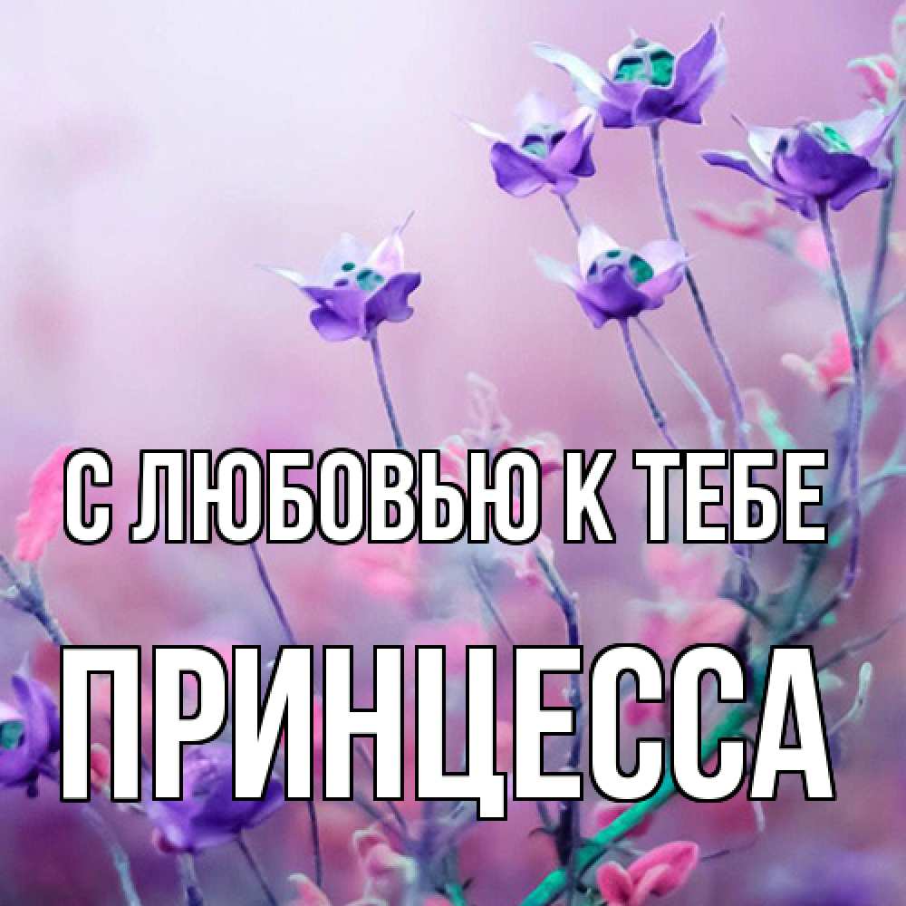 Открытка  с именем. Принцесса, С любовью к тебе  