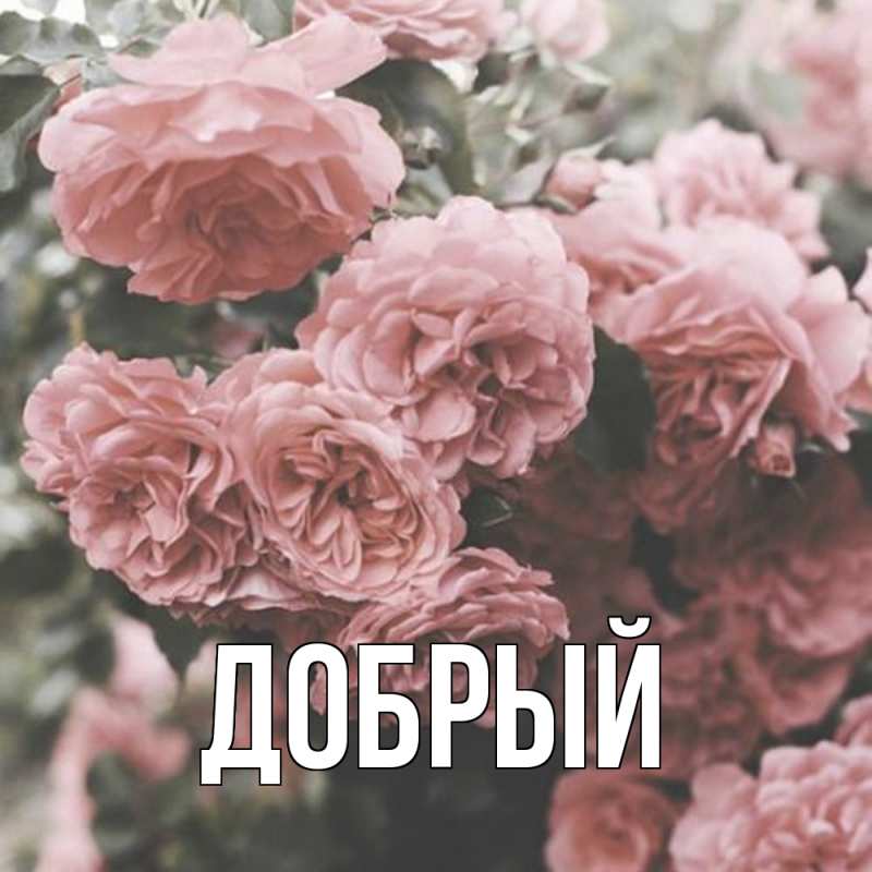 Картинка  с именем , Добрый