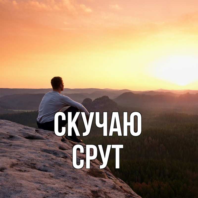 Картинка Скучаю, срут