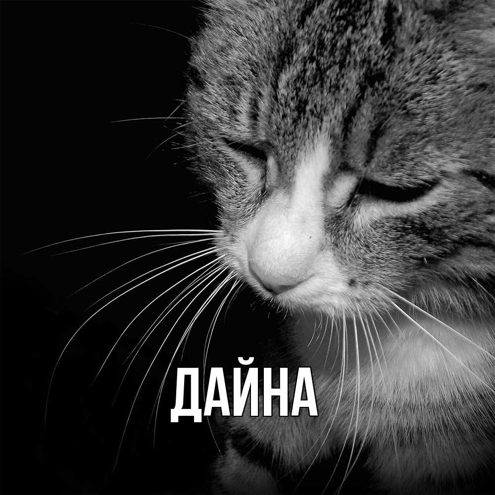 Открытка  с именем. Дайна, Главная  