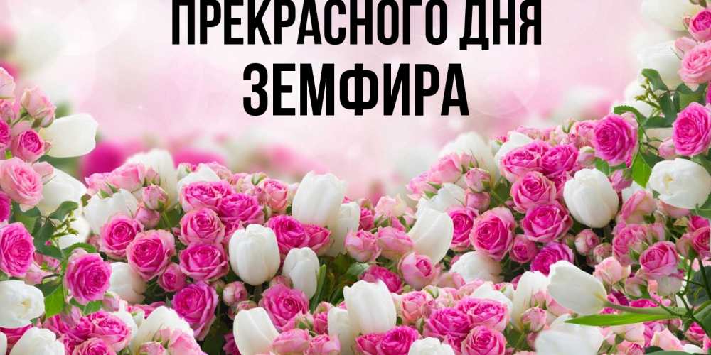 Открытка  с именем. Земфира, Прекрасного дня  