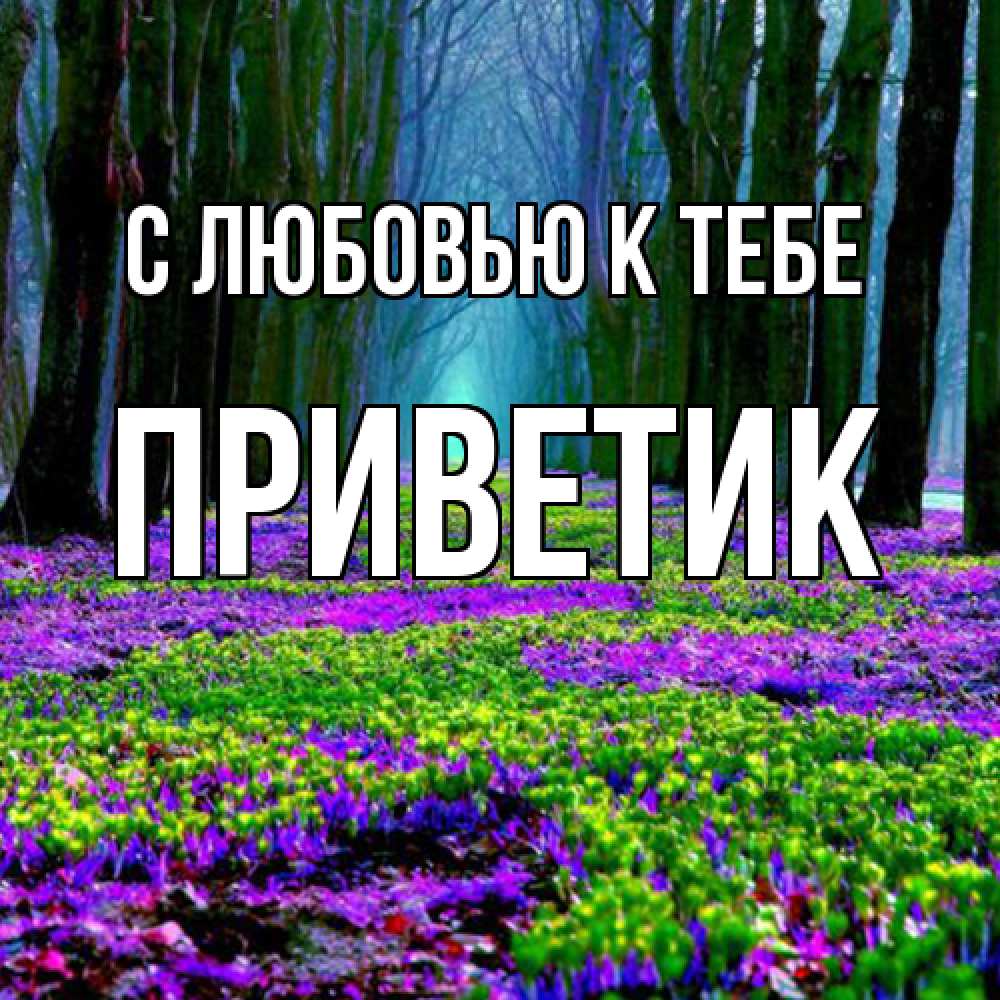 Открытка  с именем. приветик, С любовью к тебе  
