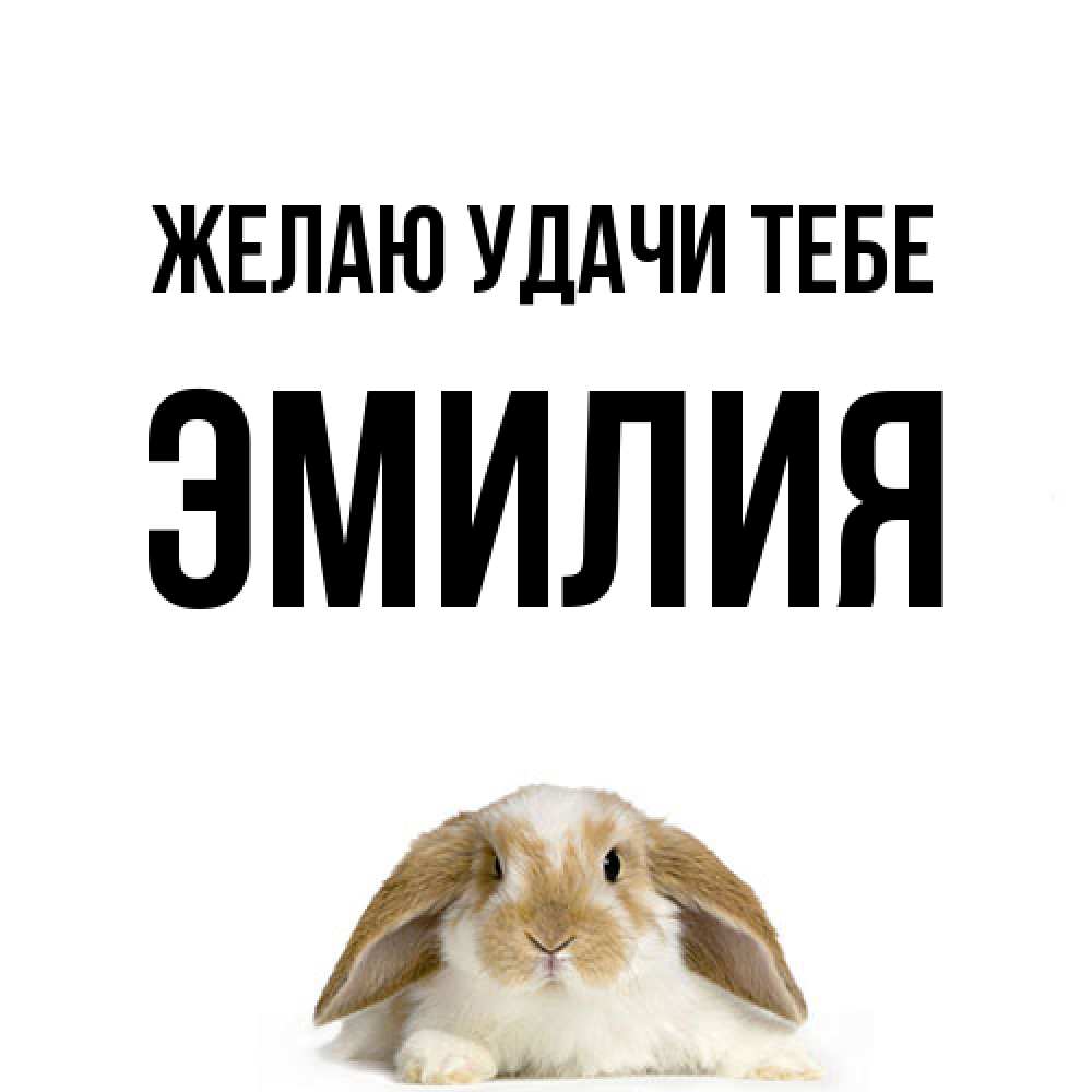 Открытка  с именем. ЭМИЛИЯ, Желаю удачи тебе  