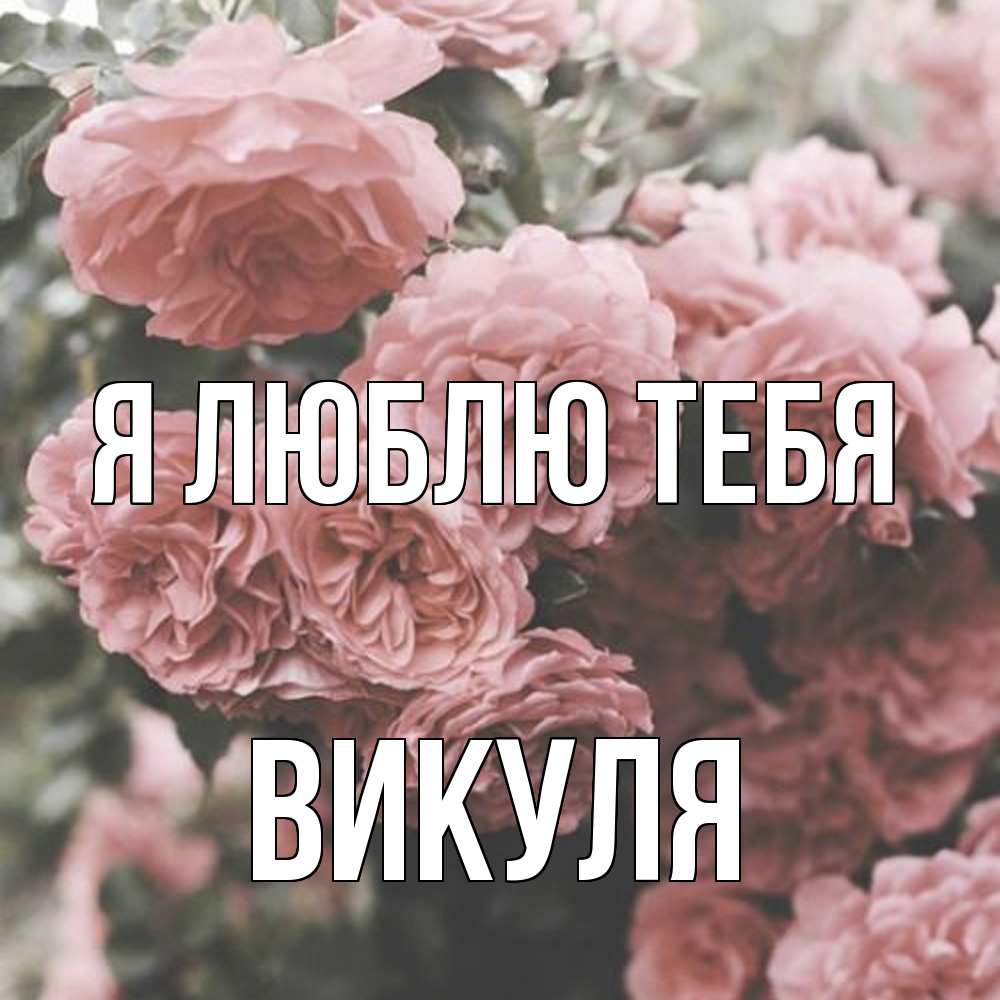 Открытка  с именем. Викуля, Я люблю тебя  