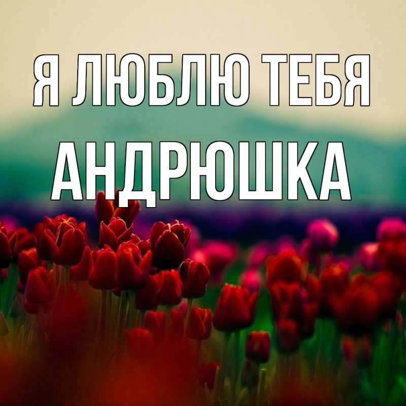 Картинка Я люблю тебя, Андрюшка