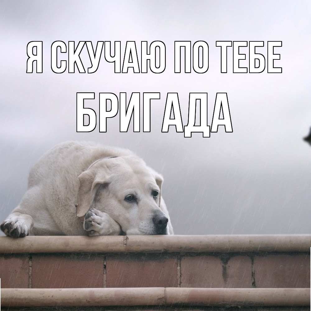 Открытка  с именем. Бригада, Я скучаю по тебе  