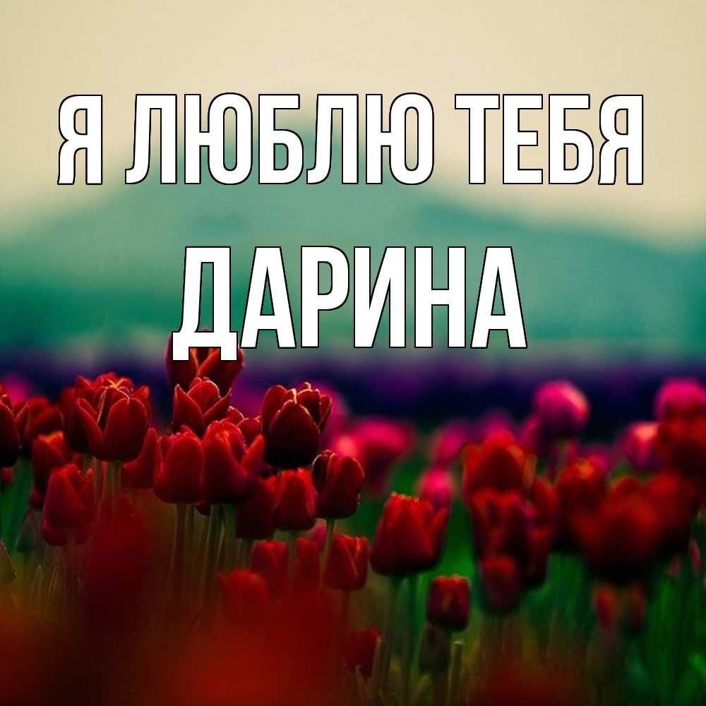 Открытка  с именем. Дарина, Я люблю тебя  