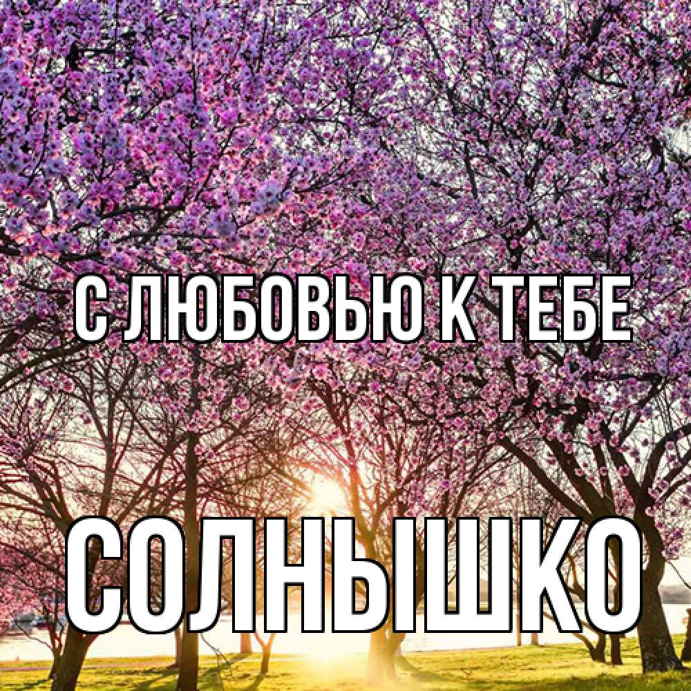 Открытка  с именем. Солнышко, С любовью к тебе  