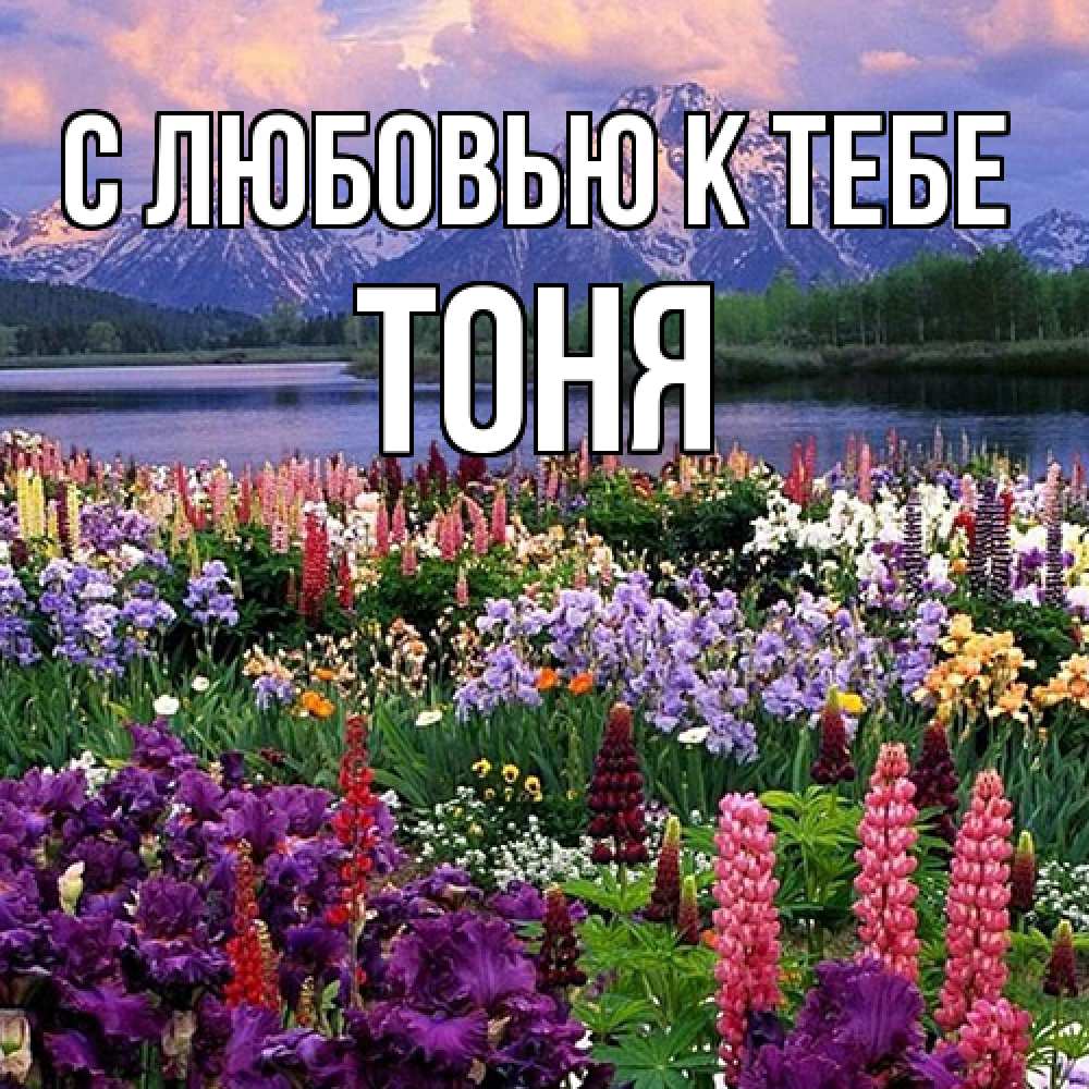 Открытка  с именем. Тоня, С любовью к тебе  