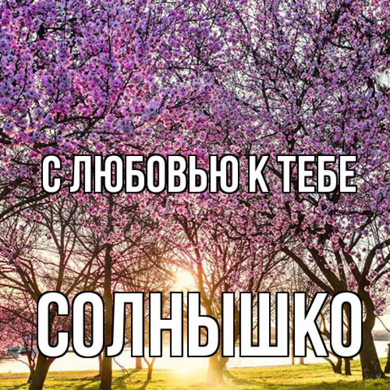 Картинка С любовью к тебе, Солнышко