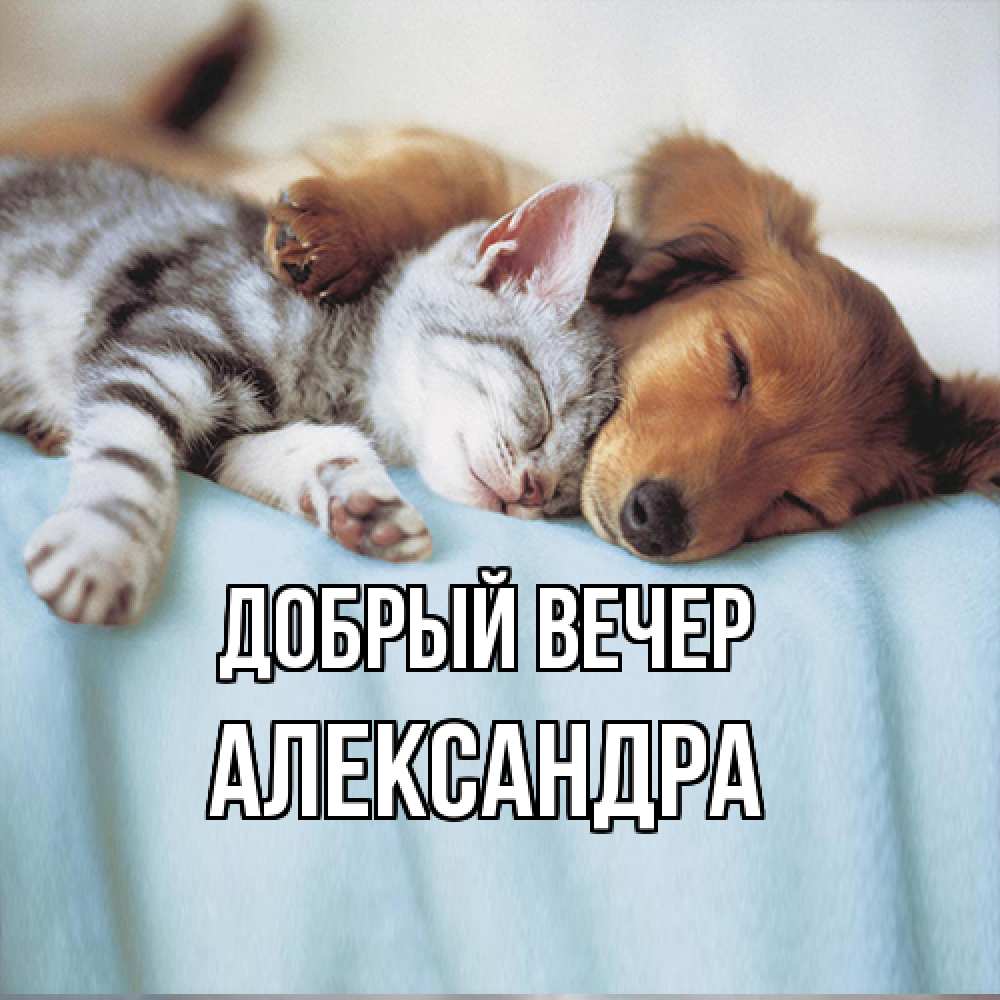 Открытка  с именем. Александра, Добрый вечер  