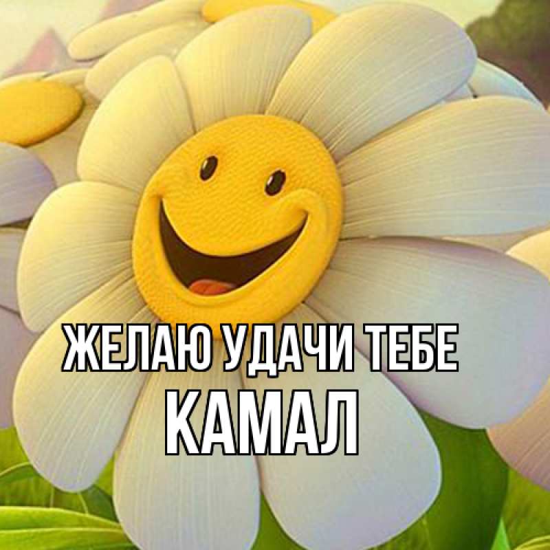 Картинка Желаю удачи тебе, Камал