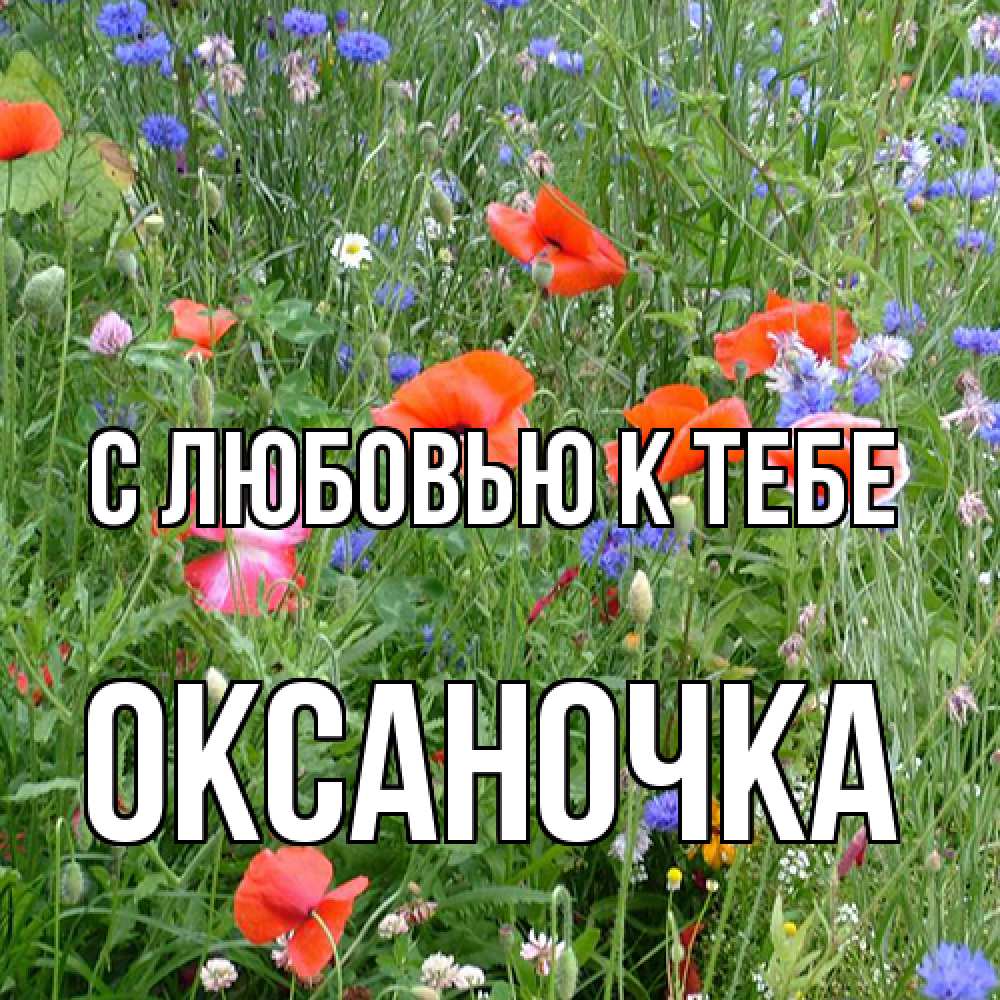 Открытка  с именем. ОКСАНОЧКА, С любовью к тебе  