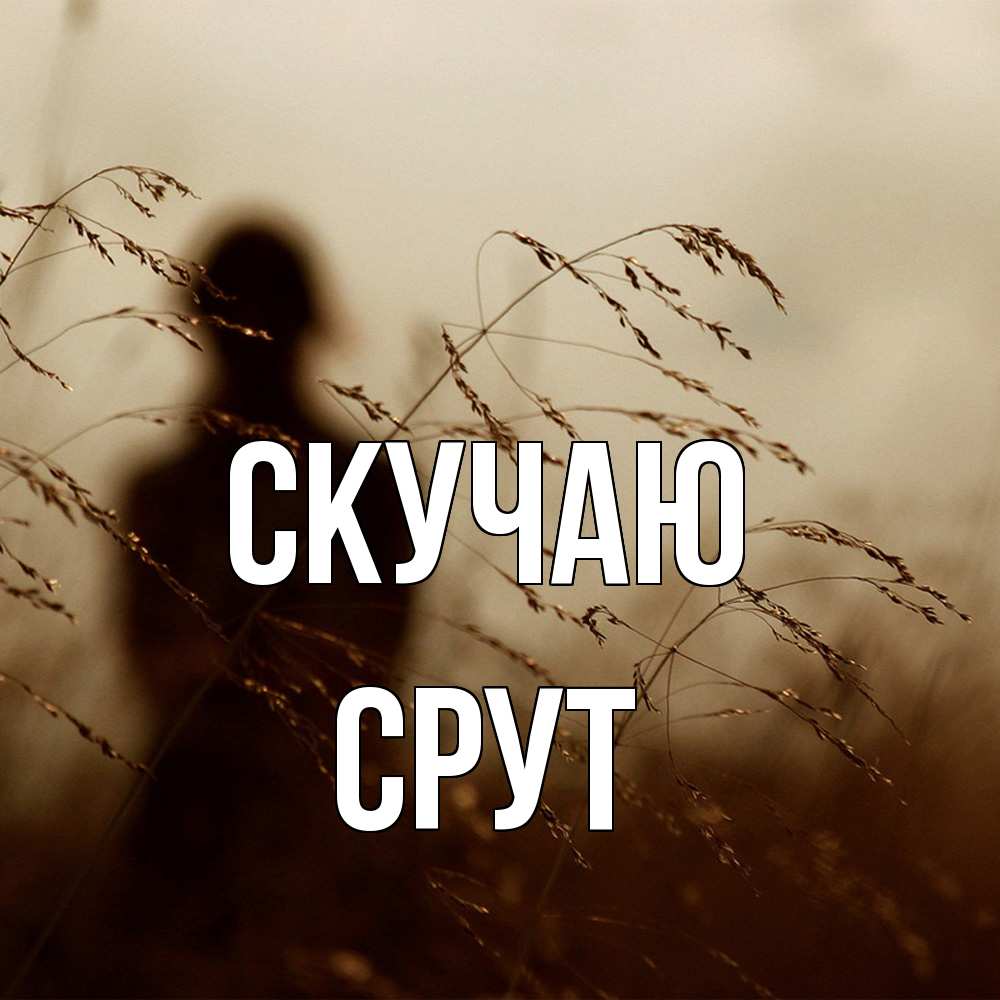 Открытка  с именем. срут, Скучаю  