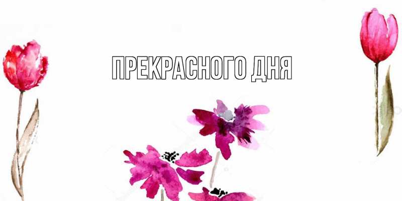 Картинка Прекрасного дня, 