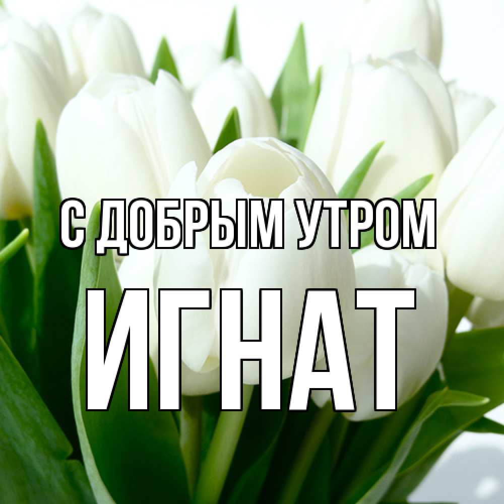 Открытка  с именем. Игнат, С добрым утром  
