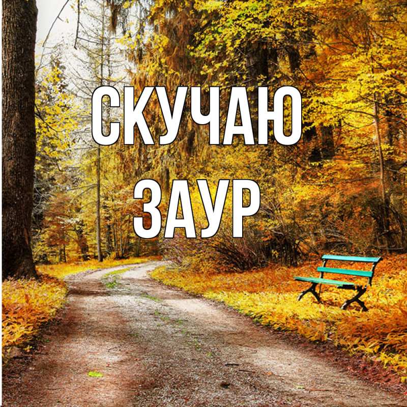 Картинка Скучаю, Заур