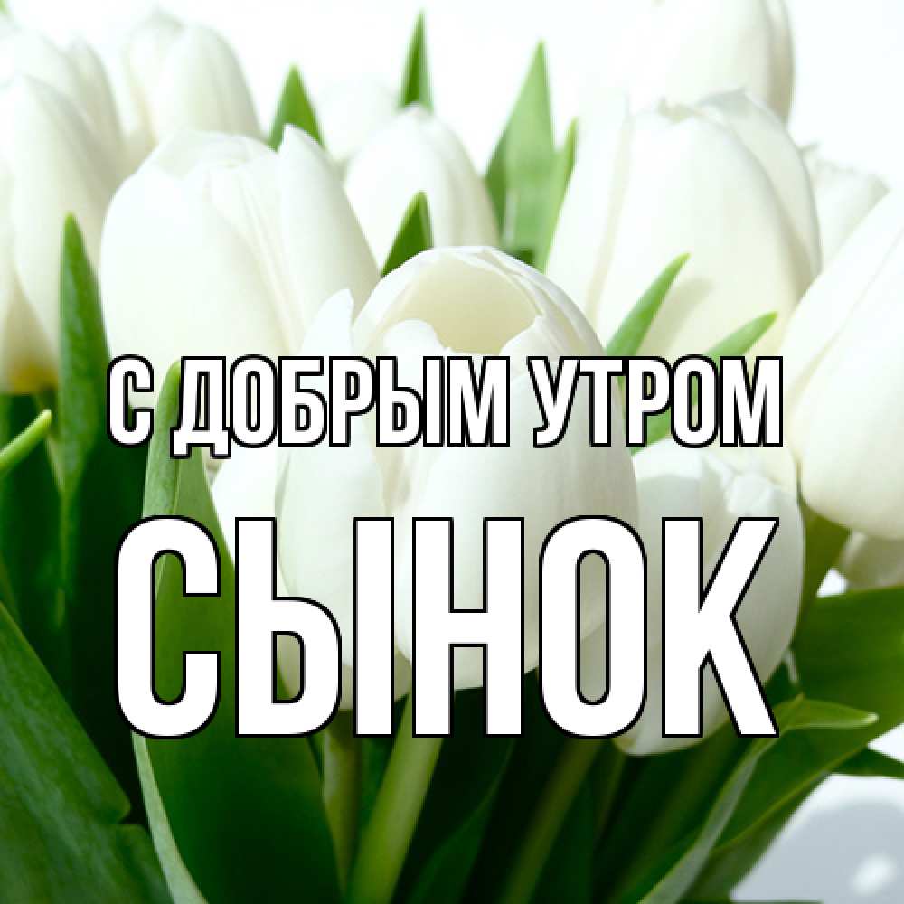 Открытка  с именем. Сынок, С добрым утром  